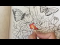 Coloring book tips and techniques using colored pencils