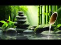 Relaxing Sleep Music + Insomnia: Bamboo, Stress Relief, Deep Sleep, Relax & Therapy Music