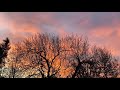 NATURE WONDERS - Peachy Sun Rising in London 11.2020