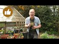 Cheap and Easy Container Gardening: Step by Step