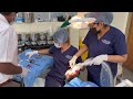 Comprehensive Training In Surgical Endodontics