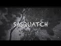 Sasquatch progress renders