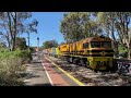 ALF's, CM's and Streamliners Leading Aurizon Grain Trains! - Rare Grain Action in The Hills