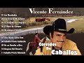 VICENTE FERNANDEZ CORRIDOS DE CABALLOS MIX ~ VICENTE FERNANDEZ LAS MEJORES RANCHERAS