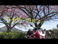 【チョイと衝撃的な！】　バイクに興味を持たない人に質問してみました。#喫煙マナー　#ライダーに対する印象　#マナー向上委員会　#goodライダー