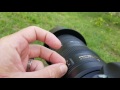 Nikon D500 for Video - Setup and Focus Technique