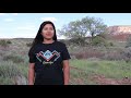 I am a Zuni Artist - Edaakie Art