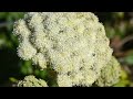 Yaquina Head Oregon - Beautiful Scenery, Surprising Geology - Full-Length Version -Travels With Phil