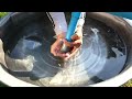 We turn PVC pipe into Hight speed water pump without electricity easy way