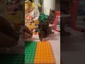 N but it's Lego #bigfootjustice