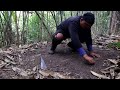 making awesome bamboo trap for catching wild chicken in the forest