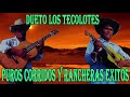 Dueto Los Tecolotes || Puros Corridos Y Rancheras Exitos