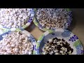 Popcorn Test - Glass Gem Corn vs Grocery Store Popcorn and Indian Corn