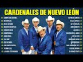 LAS 30 MEJORES CANCIONES DE CARDENALES DE NUEVO LEÓN - MIX PUROS CORRIDOS CARDENALES DE NUEVO LEÓN