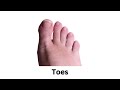 Learn Body Parts-Educational Video for kids-Learn Body Parts Names-Kids Vocabulary-BodyPartsforkids