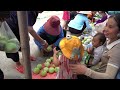 Harvesting a giant melon garden to sell at the market - Cooking with the children