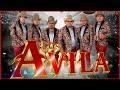 💃 LOS ÁVILA MIX 2024 🕺Los Ávila Grandes Exitos Mix 2024 💃 Las Mejores Canciones de Los Ávila en 2024