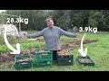 Which Mulch is Best for Growing Potatoes? - Ultimate Mulch Test