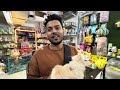 Exotic Pet Shop In Mumbai 2024 | Delivery All Over India | All Type Of Birds and Animal Available.