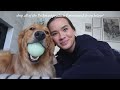OUR MORNING ROUTINE (with a golden retriever)