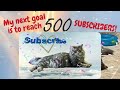 CAT is celebrating reaching 200 SUBSCRIBERS!!!  YAY!!!