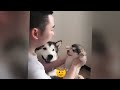 Cute animal Videos That You Just Can't Miss😹🐕