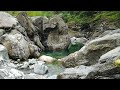 Canyon river - Peaceful river flowing sound. Gentle river, relaxing nature Birds sounds [1 hour]