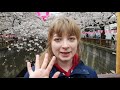 Japanreise Frühling 2019 Teil 1 - Tokyo - Kirschblüten Eskalation - Sakura