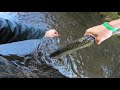 SALMON FISHING The Manistee River (PART 1)