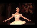 Nutcracker Pas de deux by Elisabeth Tonev & Jakob Feyferlik | Dutch National Ballet