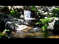 08 57 00 Hours Waterfall Sound Calming Meditation Relaxation Relax Calm Water Sounds