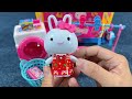 5 Minutes SatisFying with Unboxing Pink rabbit laundry set ASMR Review Toys