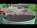 5 TIPS How to Grow a Ton of Asparagus in a Raised Garden Bed Container