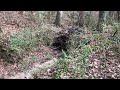 Animal burrow entrance in the creek