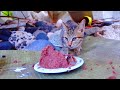 ひっそりと暮らす、腹ペコな子猫が初めて餌を食べてみたら・・・