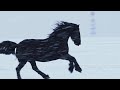 Horses | Power Beauty & Grace