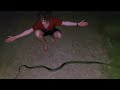 Boy relocates MASSIVE Carpet Python off deck!