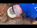DIY - How to locate your septic tank