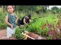 Love and sacrifice: A man climbs a mountain to pick medicinal herbs to cure a single mother's illnes