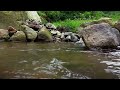 Relaxing River Sound from Mountain for Work, Study, Meditation - Water ASMR - Flowing Water