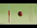 Cricket items in 3d for Kids