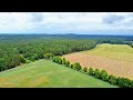 Nature walk / A pair of Red kites / Common crane family / Drone footage