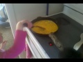 Evea making eggs #1