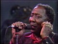 Muddy Waters / The Living Legends of Blues