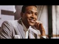Unveiling Marvin Gaye's Tragic Journey through a Violent Past to his Last Day Alive | Final 24