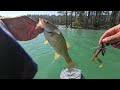 DAY 1-JENKINSON LAKE/SLY PARK FISHING