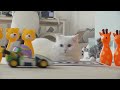I bought Super Mario Kart for my cats and they went wild! (ENG SUB)