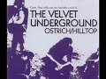 The Velvet Underground - Run Run Run (Hilltop Pop Festival, 1969)