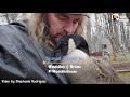 Guy Teaches His Rescued Gosling How To Fly | The Dodo Soulmates