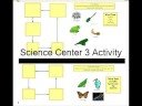 Butterfly Life Cycle